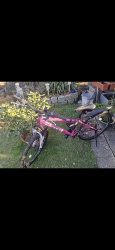 Kinder mädchen fahrrad - fahrrad,, pink